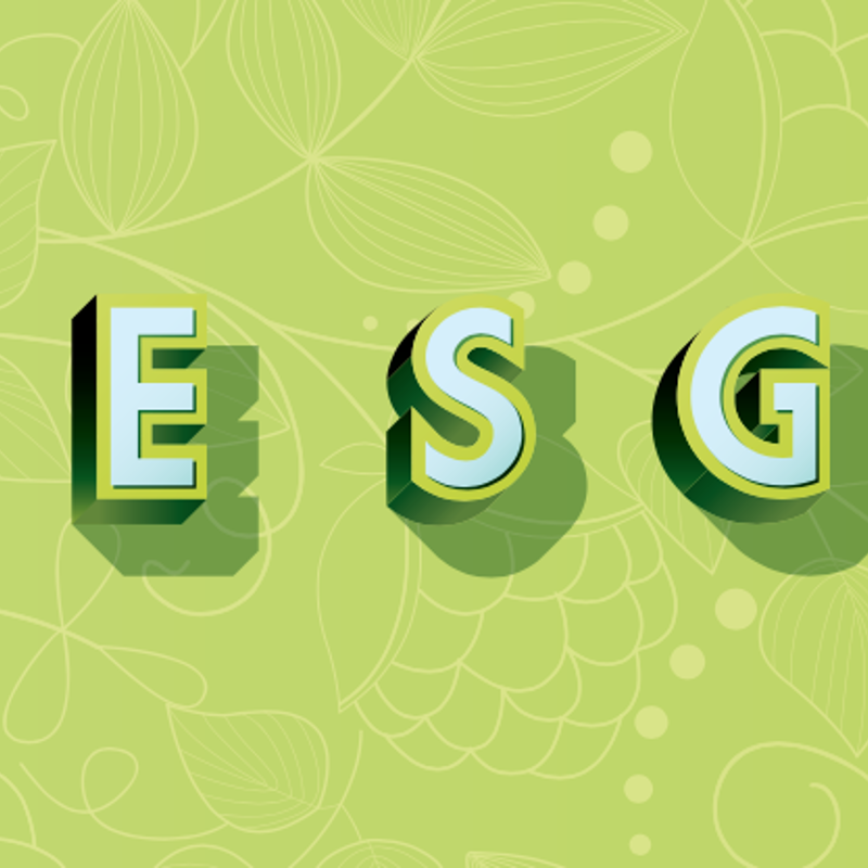 The ABC of ESG