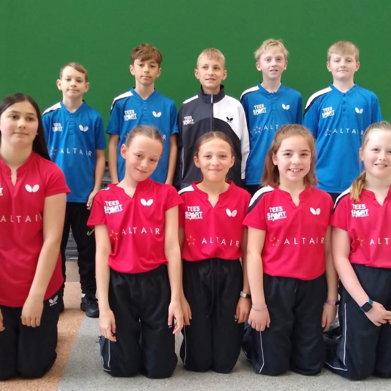 Primary Schools International Table Tennis