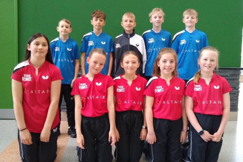 Primary Schools International Table Tennis